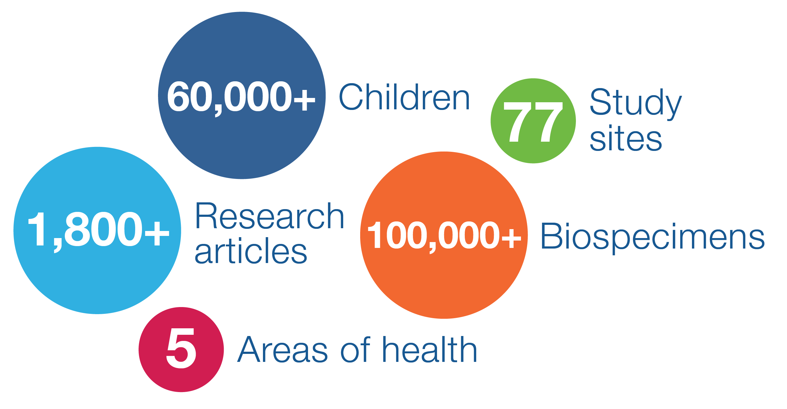 ECHO_year_review_16dec2024