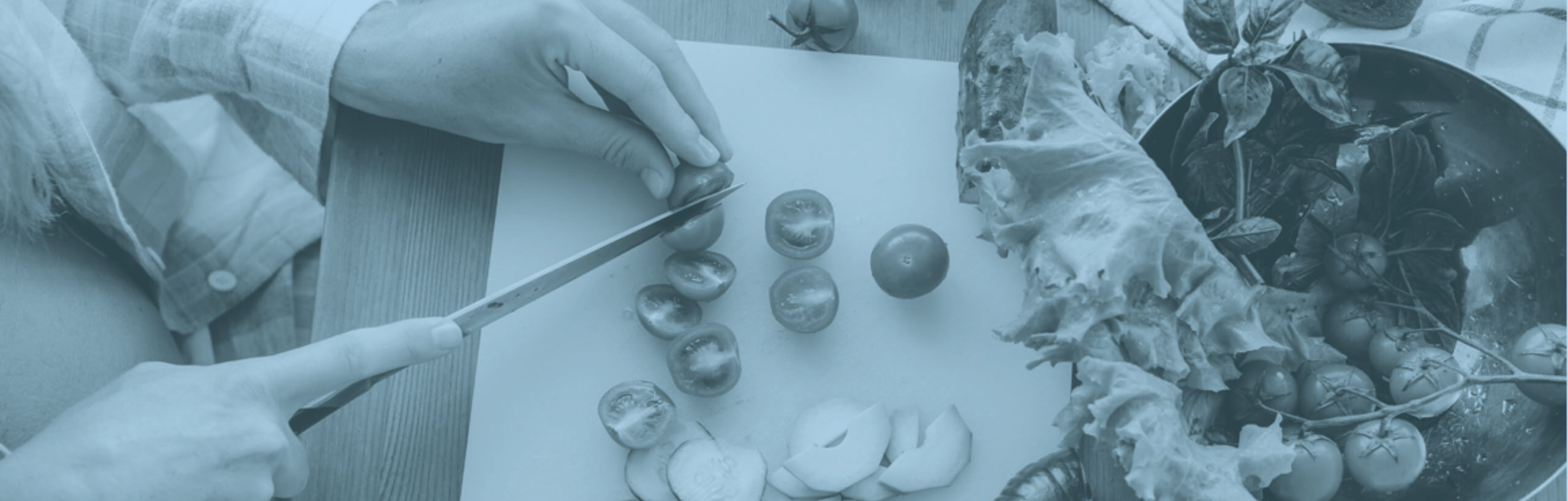 echo_insights_blue1-edit2