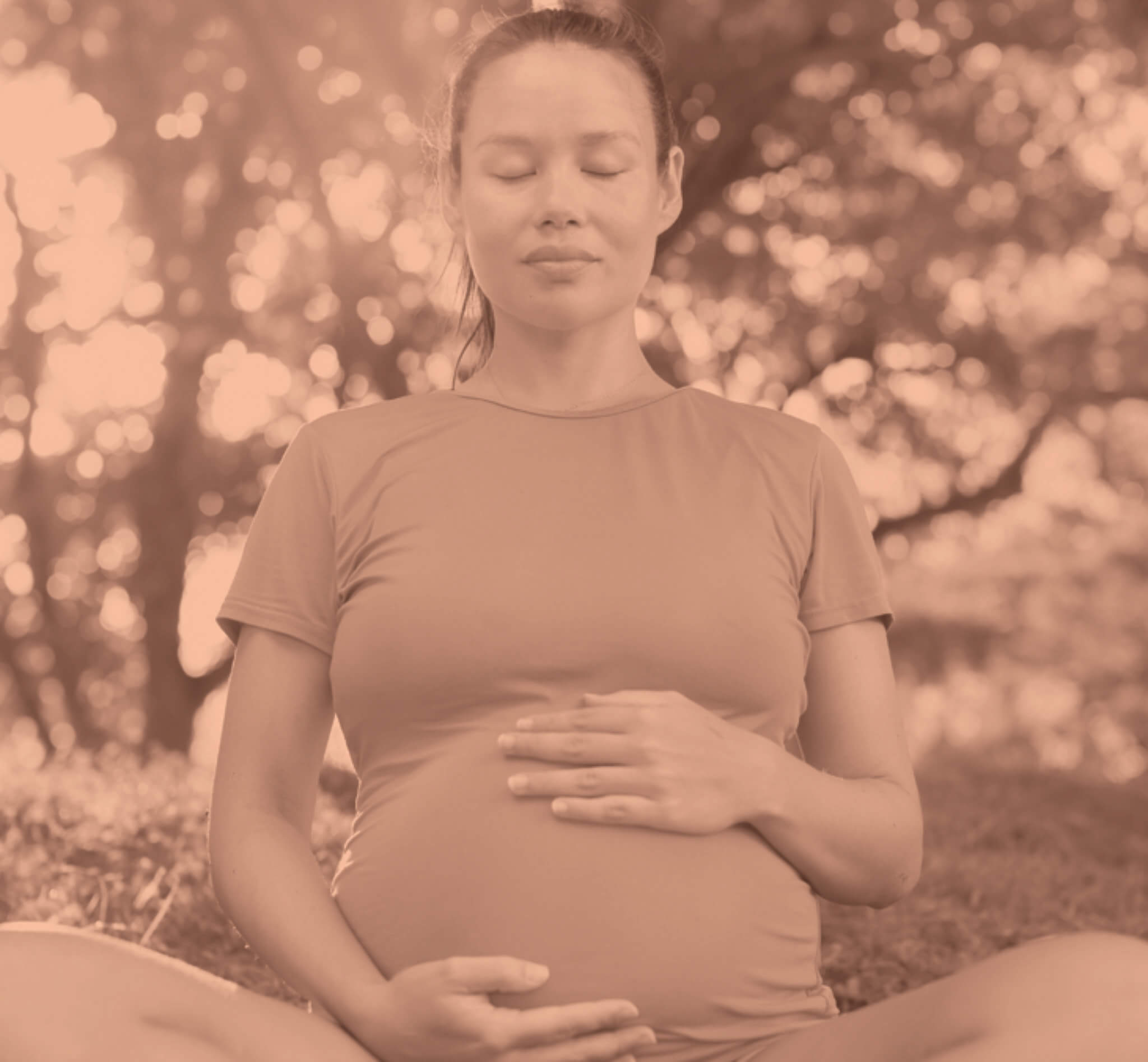 echo_insights_orange2-edit