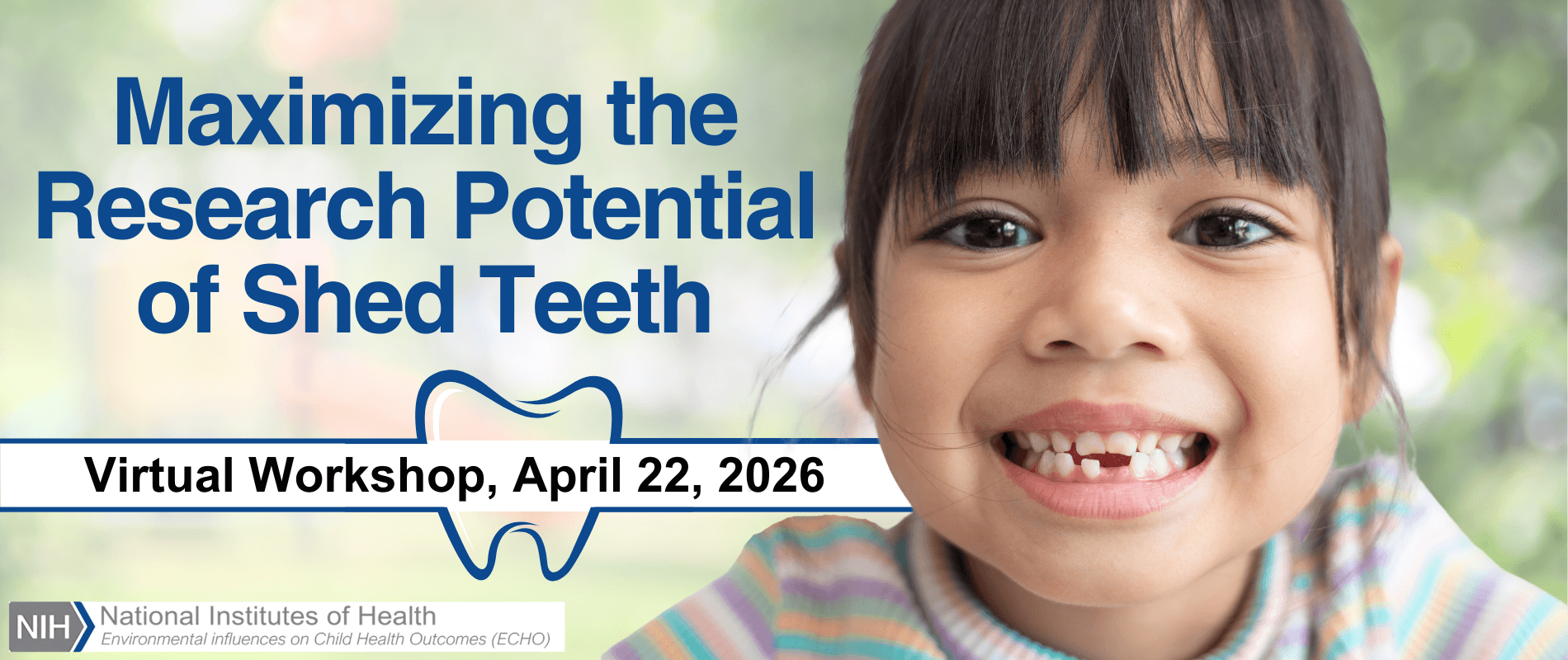 Workshop Banner Image